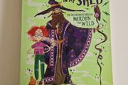 The Wizard In My Shed book by Simon Farnaby
