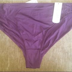 BNWT Plum Secret Possessions underwear size UK18/20 EUR46/48 Postage included