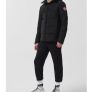 Canada Goose Image 3