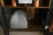 dog crate