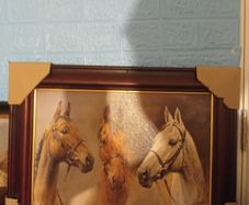 The three kings winner horses picture