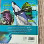 Ocean Encyclopedia Image 3