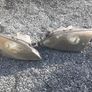 Ford Mondeo Headlights Image 4