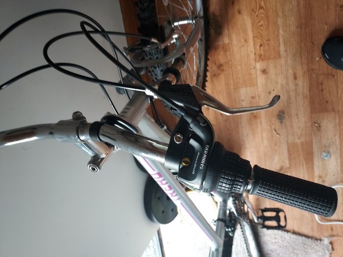 Trek mountain bike