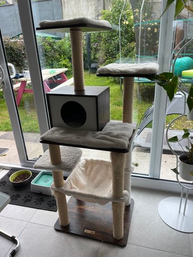 cat tree