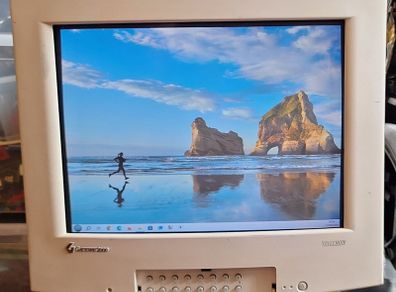 vivitron (trinitron) gateway 2000 monitor