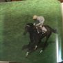 Books ( The Epsom Derby) ( Reduced) Image 8
