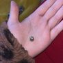 Authentic Pandora Alphabet Letter v Sterling Silver W/ 14Kt Gold Retired Pandora Image 2