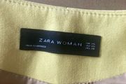 Zara coat