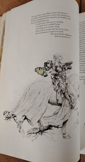 Vintage 1979 Faeries Book - Alan Lee Cover Variant (Pan Books First Printing)