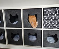 Cat accessories 1 Insert Cat Bed, 3 wooden steps, litter