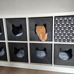 Cat accessories 1 Insert Cat Bed, 3 wooden steps, litter