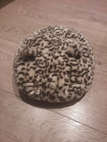 Cat Single Foot Slipper