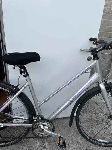 ladies bike