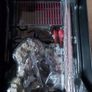 Hottoys MMS313 1/6 Boba Fett Deluxe Version Hot Toys Image 7
