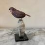 Hand-Carved Gemstone European Robin on Tourmalinated Quartz Base Image 7