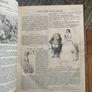Punch magazines - Rare from 1847 and 1861 Image 6