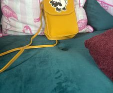 phonebag
