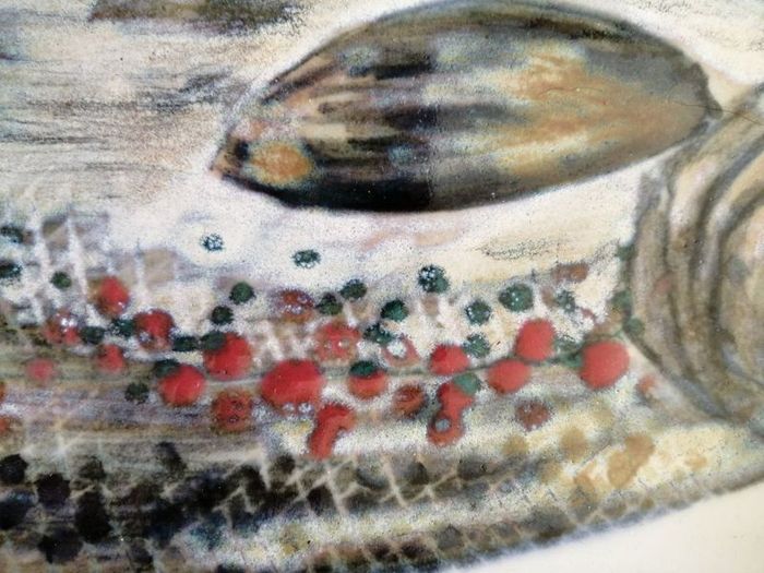 Highland Stoneware Scotland Salmon Dish