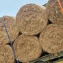 Hay for sale Image 2