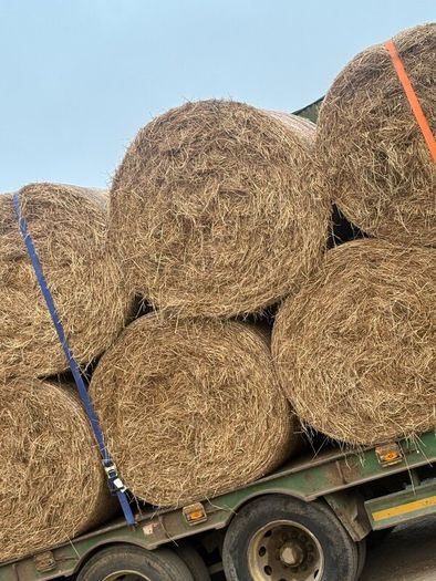 Hay for sale