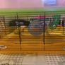 hamster cage and accessories Image 2
