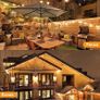 Outdoor String Lights Mains Powered - 100FT/30M G40 Garden Festoon Lights with 55+3 Shatterproof LED Bulbs Waterproof for Outside Patio Gazebo Pergola (FREE POSTAGE) Image 3