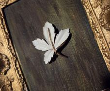 Vintage brooch