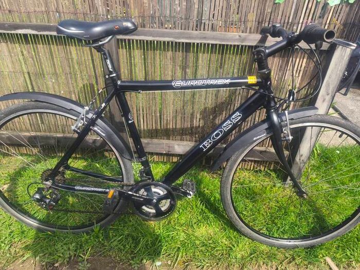 Euro Giant hybrid bike