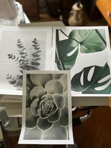Desenio artwork print sets
