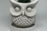 Handmade Concrete Owl