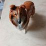 Vintage Beswick Rough  Collie  Dog   Porcelain Figurine Lochinvar Of Lady Park. Made in England. Image 2