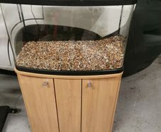 Fish Tank