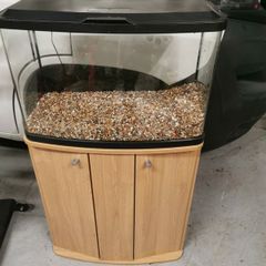 Fish Tank