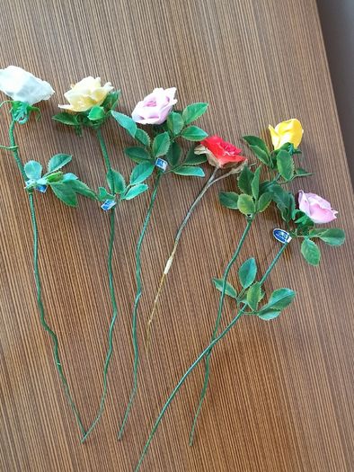 Vintage Aynsley porcelain flowers on stems  6pc