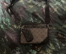 Louis Vuitton bag