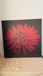 Wall art