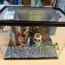 aqua dreams starter aquarium Image 2