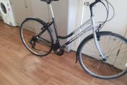 ladies city bike( can deliver)