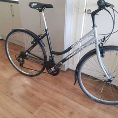 ladies city bike( can deliver)