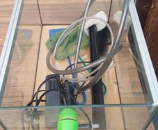 fish tank