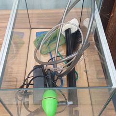 fish tank