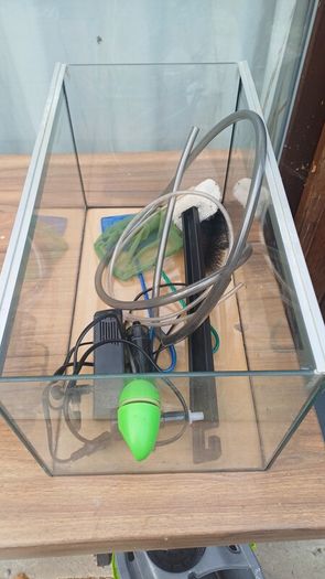 fish tank