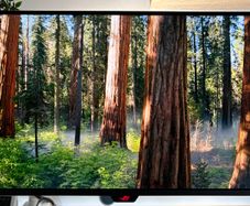 Asus Oled 4k 27 Monitor Xg27ucdmg