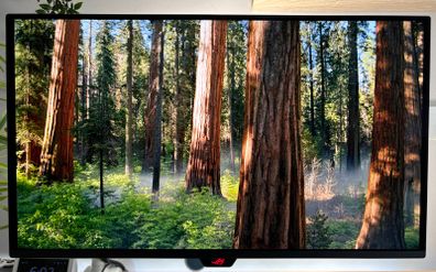Asus Oled 4k 27 Monitor Xg27ucdmg