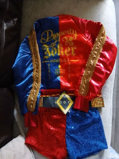 Harley Quinn Costume