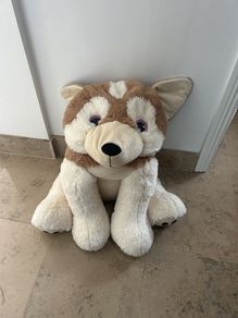 cuddly dog