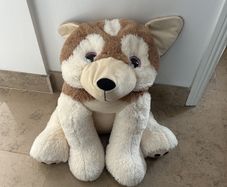 cuddly dog