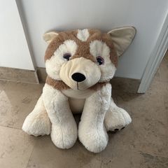 cuddly dog