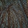 dress quiz Image 3